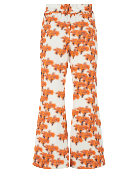 Ashluxe Female Printed Track Pant Orange Flower Aop