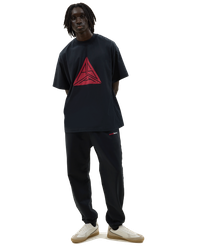 Large Triangle Logo T-shirt Black