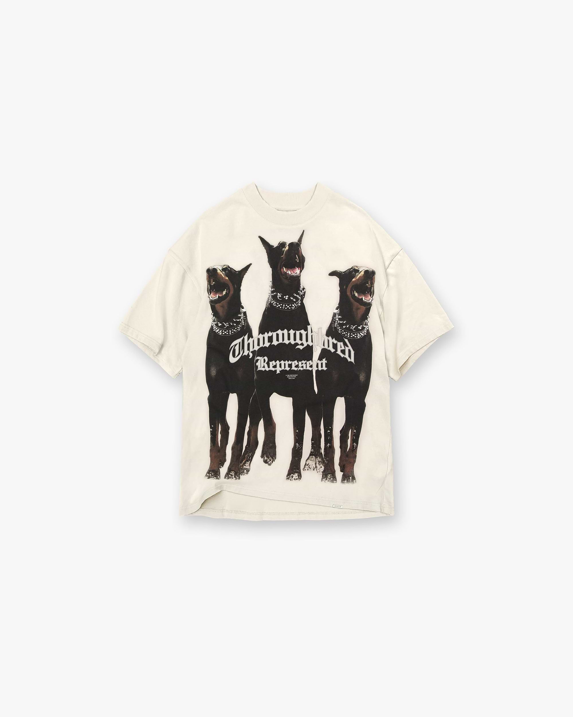 Front product image of a mens white t-shirt on a plain white background | Thoroughbred T Shirt in Vintage White | Classic cotton t-shirt | FW21 T-Shirts | Represent Clo