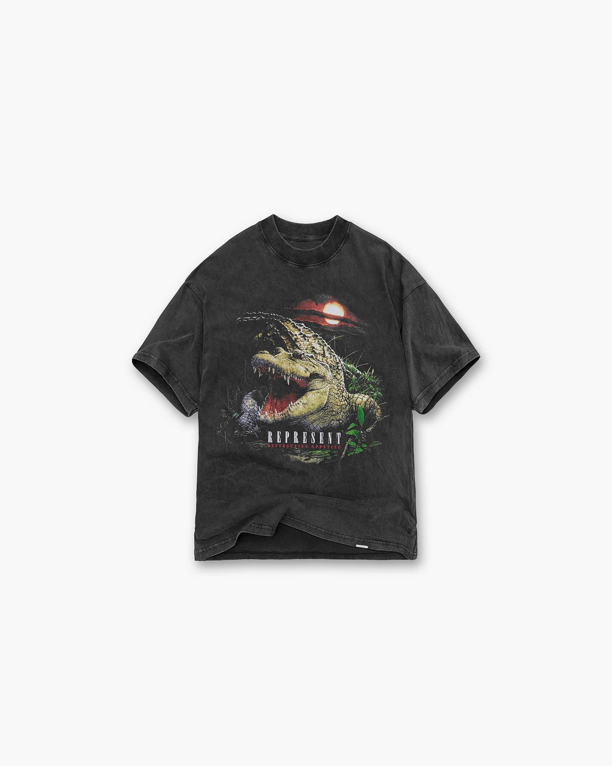 Front product image of a mens grey t-shirt on a plain white background | Destructive Appetite T-Shirt in Vintage Grey | Short sleeve jersey t-shirt with Represent Owners Club branding | SS23 T-Shirts | Represent Clo