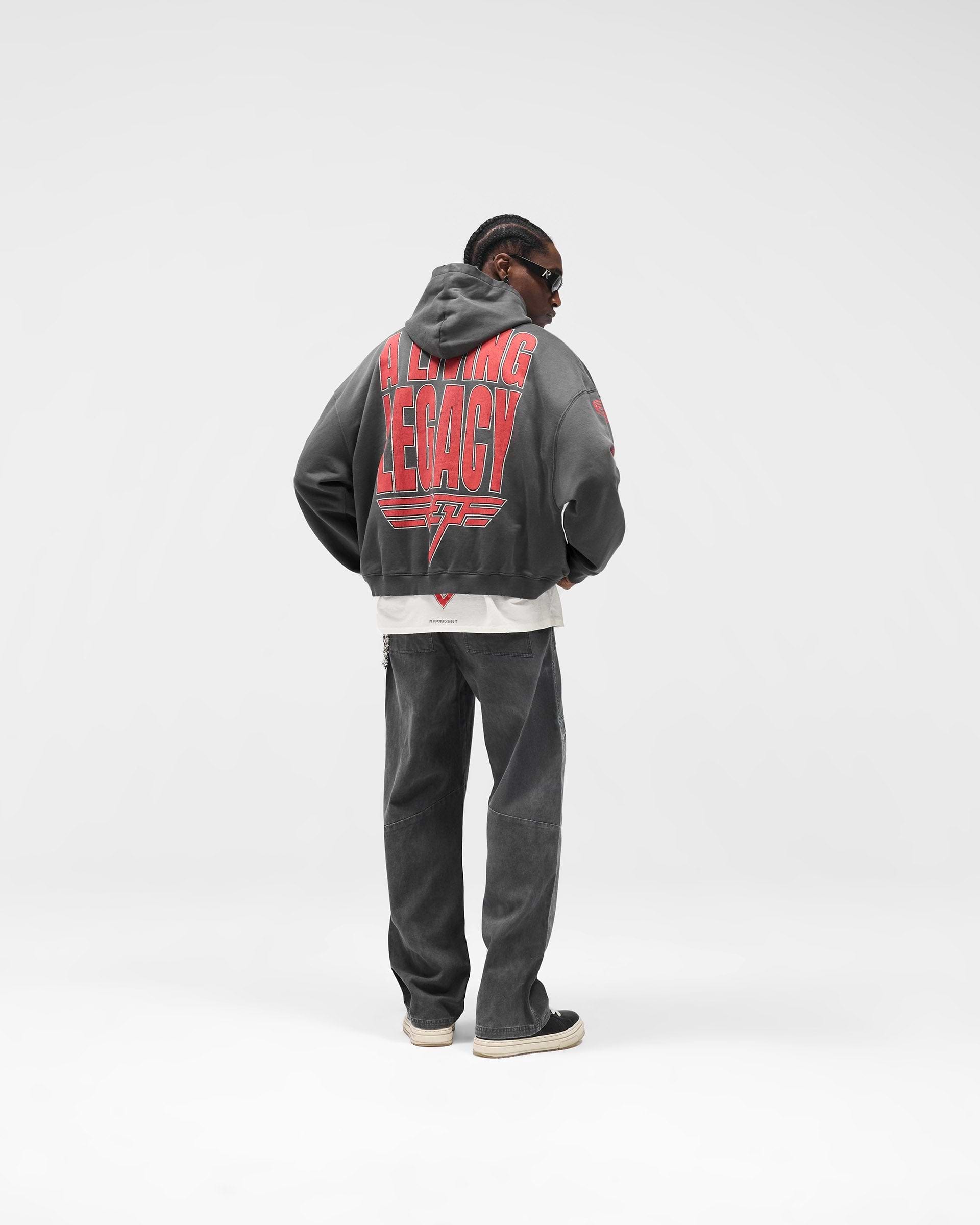 Sun Fade Gray Legacy Hoodie | Graphic Hoodies | REPRESENT
