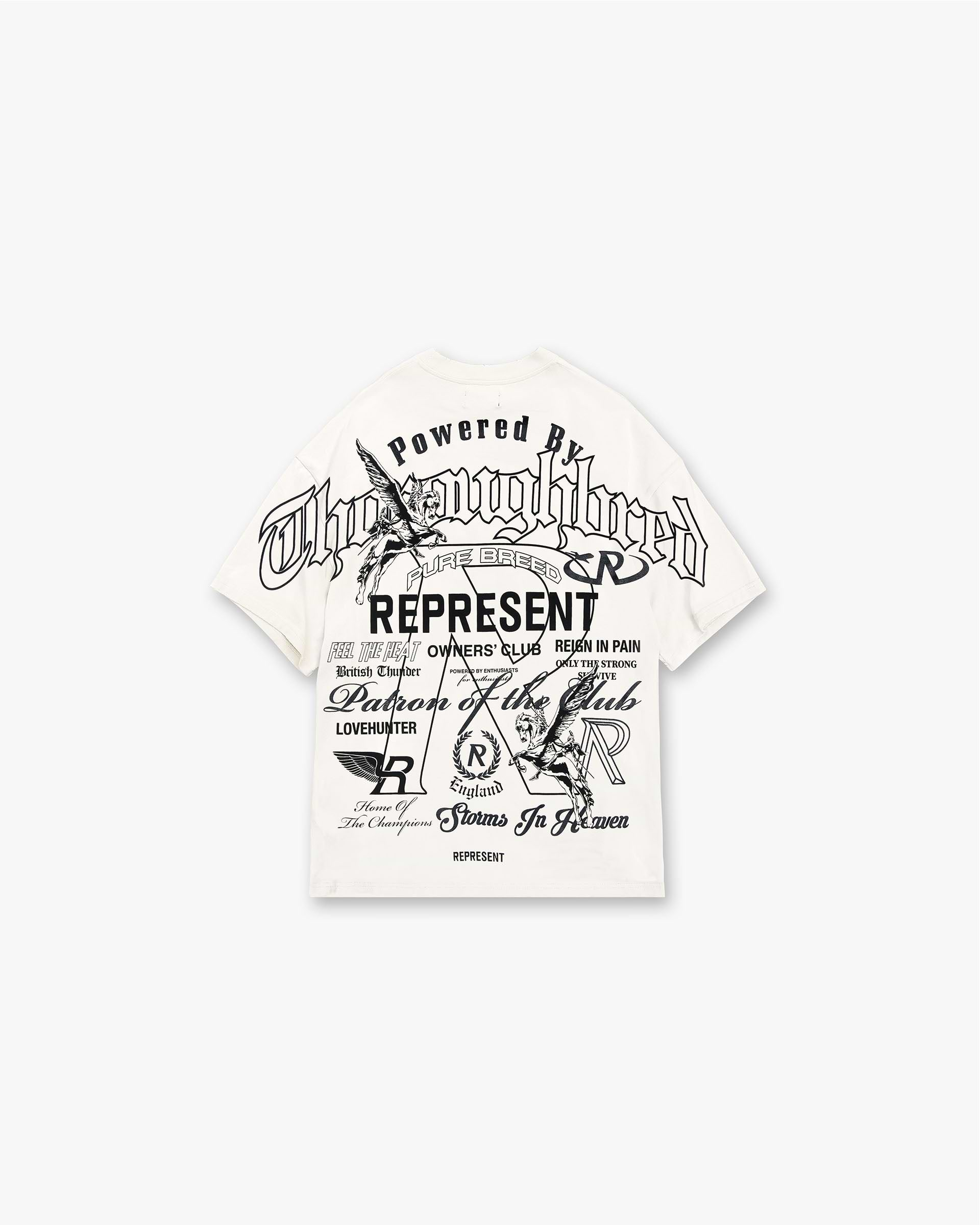 Graphic Tees & Streetwear T-Shirts | REPRESENT CLO