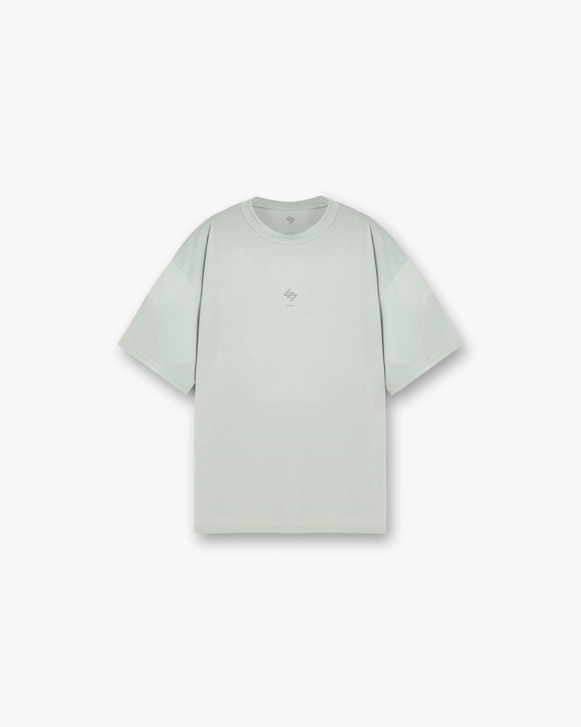 247_Oversized_T-Shirt_-_Sage_01.jpg