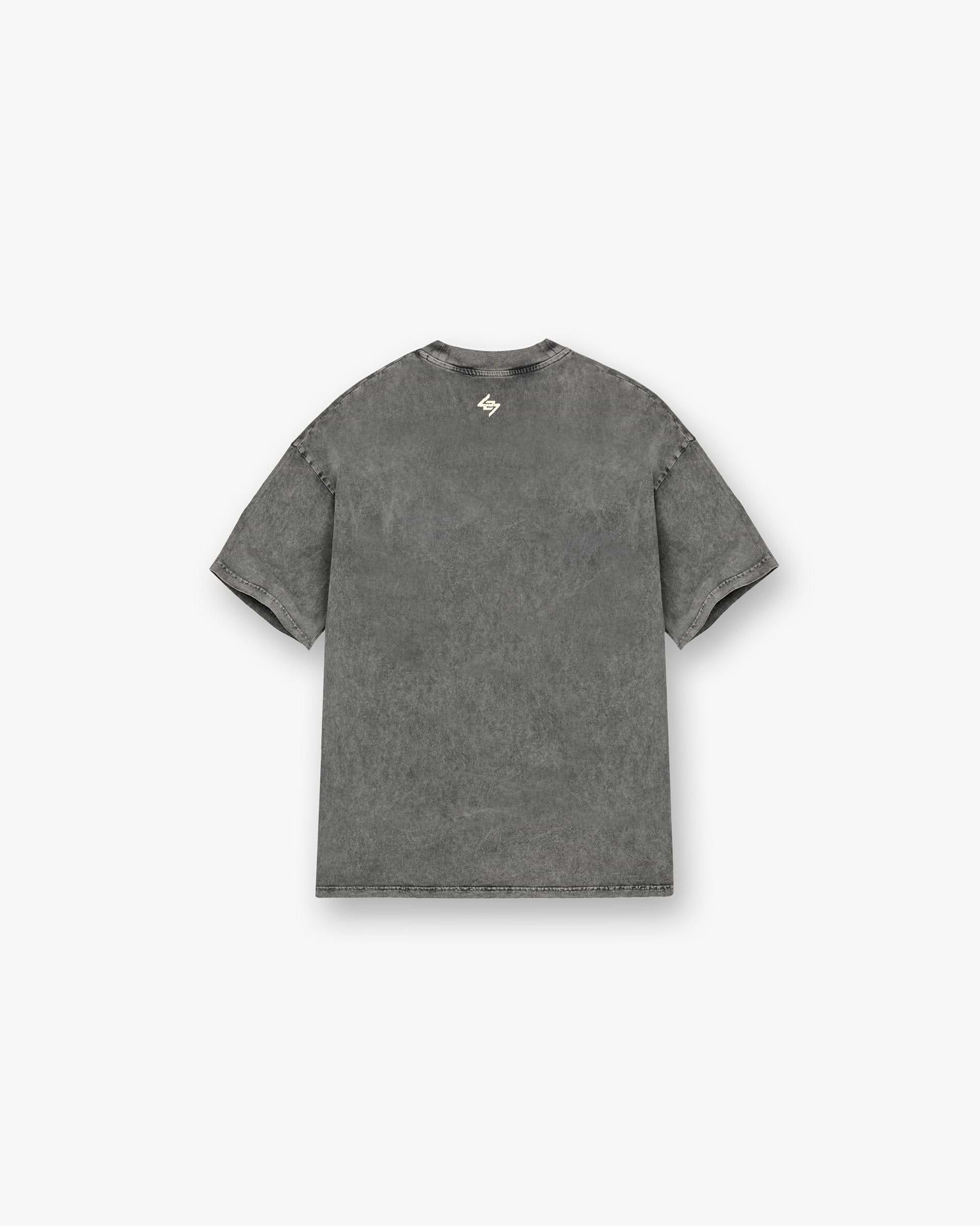 Back product image of a mens grey t-shirt on a plain white background | 247 Vs The World T-Shirt in Pewter | Oversized fit t-shirt with cracked graphic print | 247 T-Shirts | Represent Clo