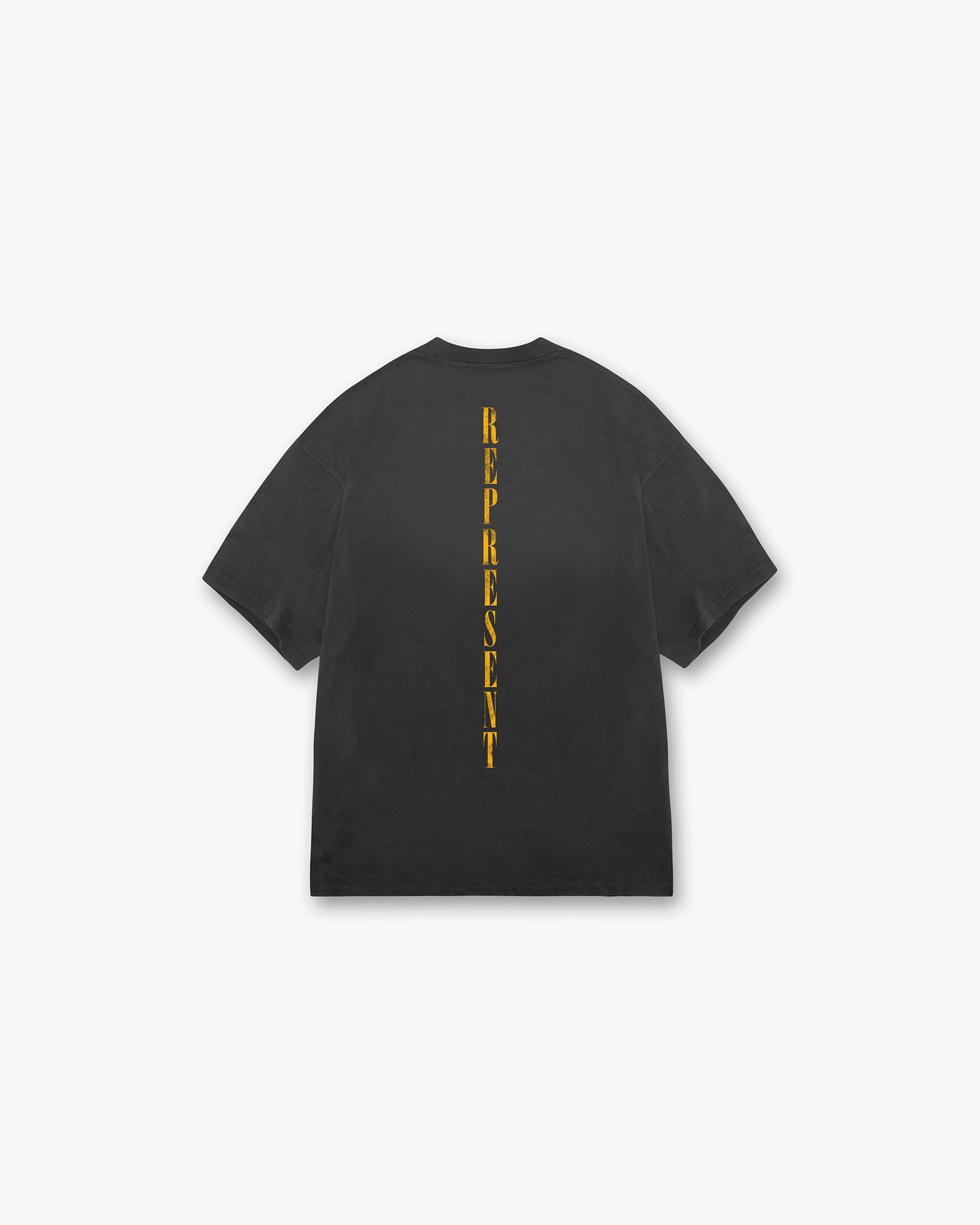Back product image of a mens black t-shirt on a plain white background | Reborn T-Shirt in Aged Black | Oversized fit t-shirt with Reborn graphic | SS24 T-Shirts | Represent Clo