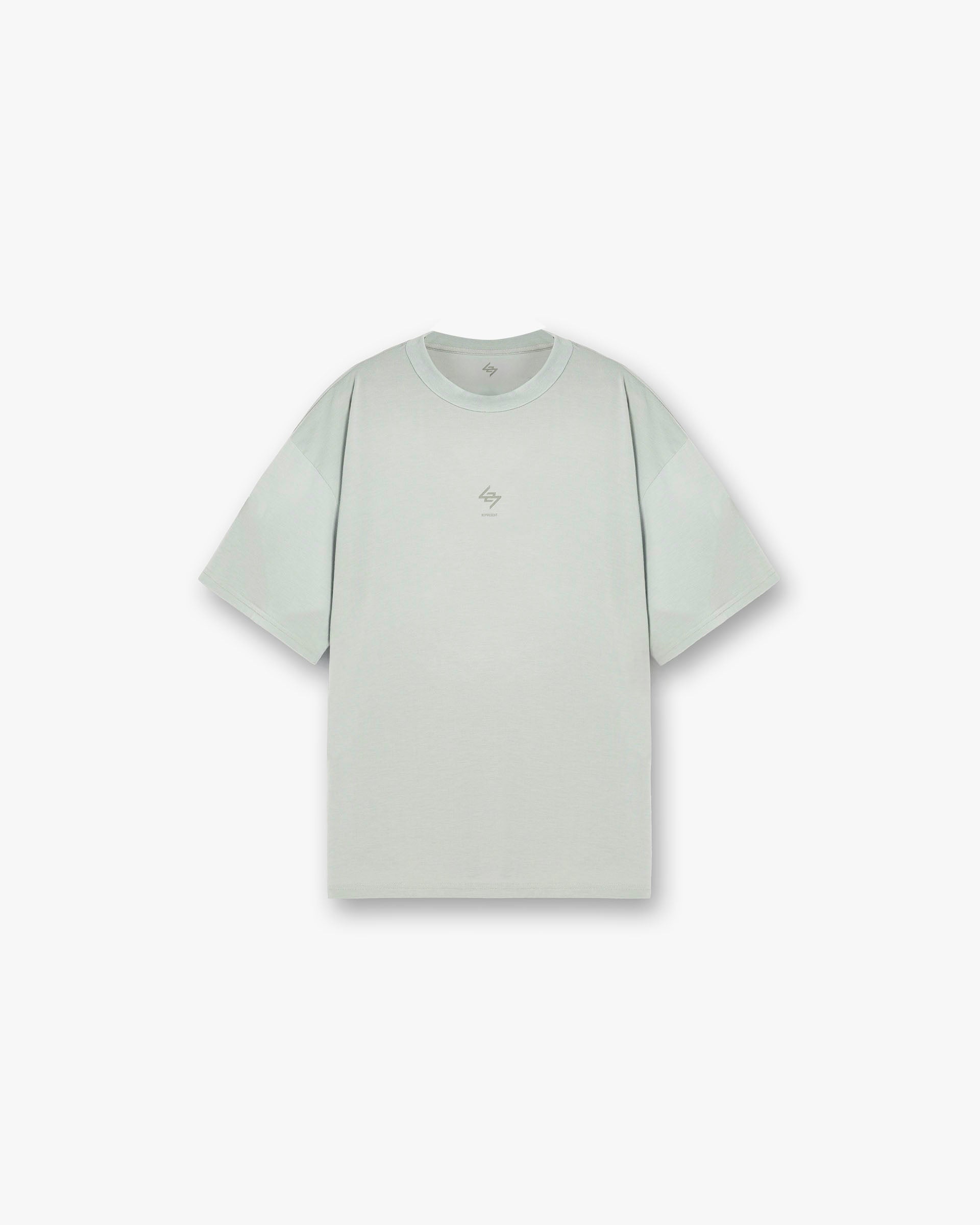 247_Oversized_T-Shirt_-_Sage_01.jpg