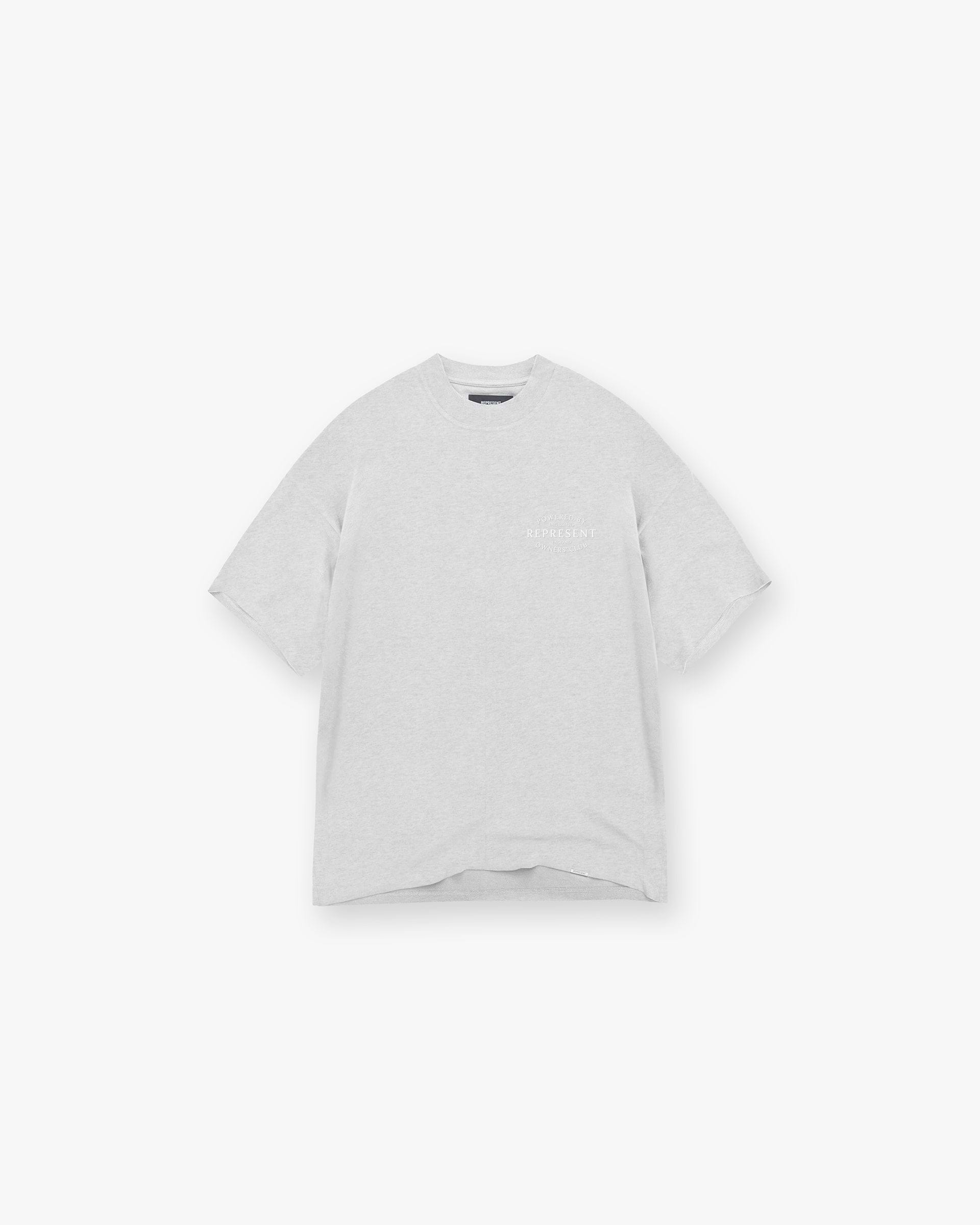 Back product image of a mens grey t-shirt on a plain white background | Represent Owners Club Stamp T-Shirt in Ash Grey | Oversized fit t-shirt with high build branding | Owners Club T-Shirts | Represent Clo