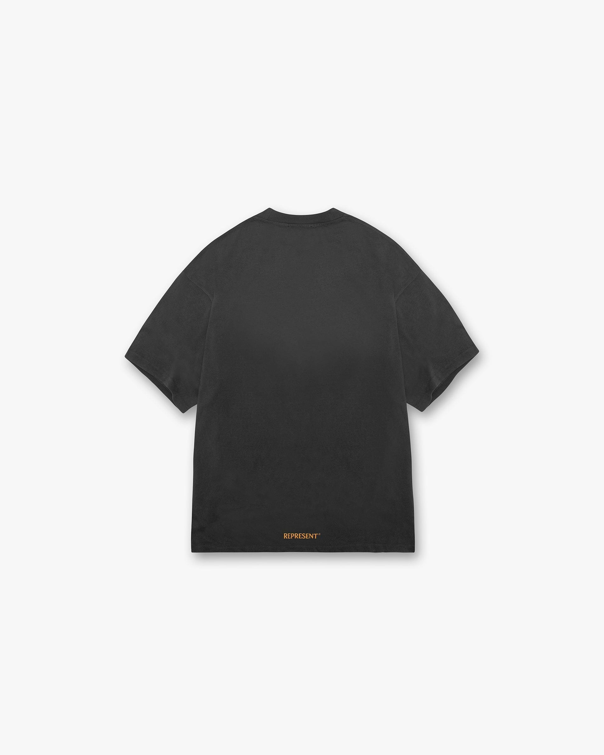 Back product image of a mens black t-shirt on a plain white background | Higher Truth T-Shirt in Aged Black | Oversized t-shirt with fade out wash and Higher Truth graphic | SS24 T-Shirts | Represent Clo