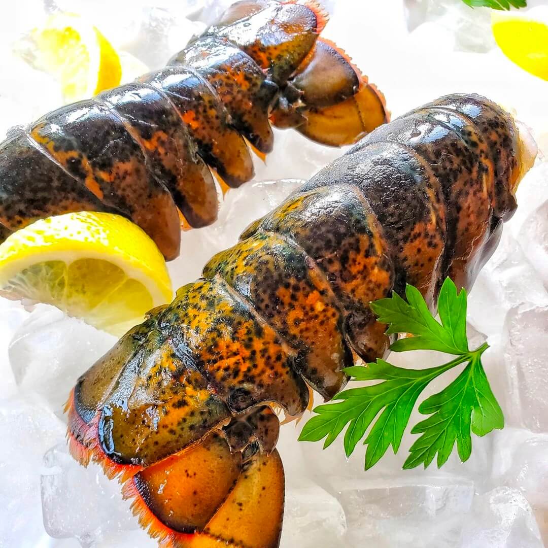 These Maine Lobster Tails Are The Freshest You Will Find