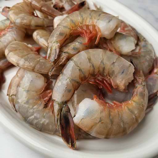 Crabs, Lobsters, Shrimp, And More!