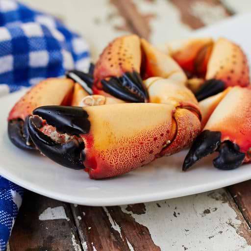 Fresh Shellfish So Easy To Grab A Hold Of