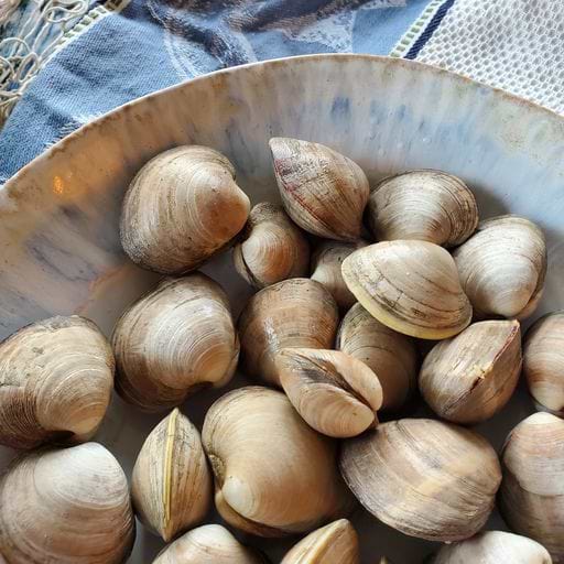 Finding Prime Shellfish Has Never Been So Easy