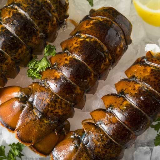 Our Mouth Watering Lobster Has You Covered