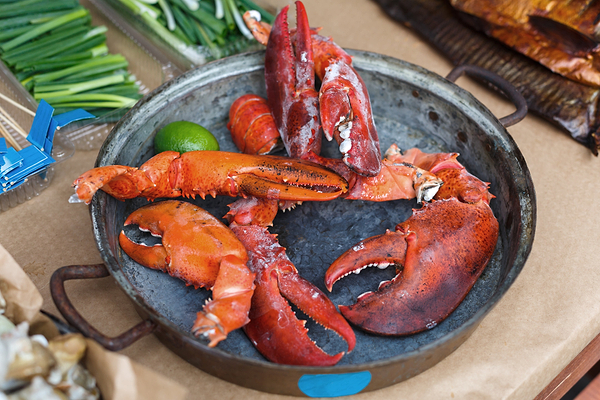 Grilled lobster claws