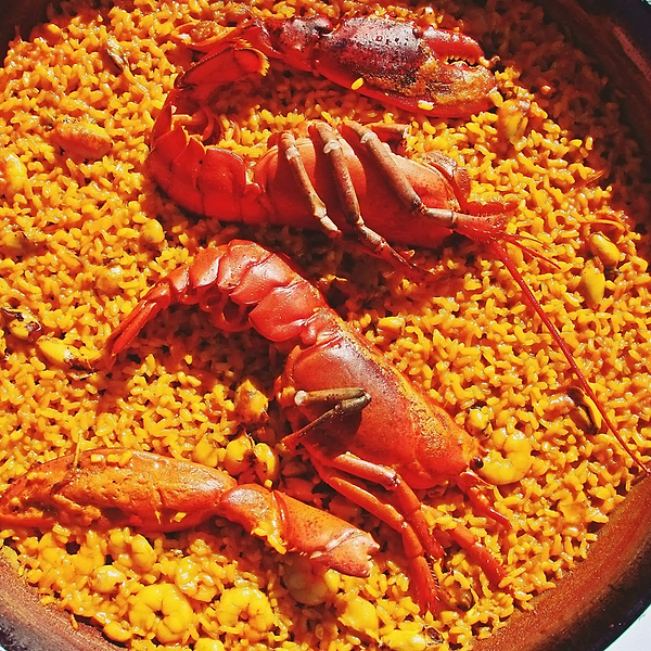 lobster pallela