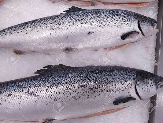 Wild King Salmon recipe