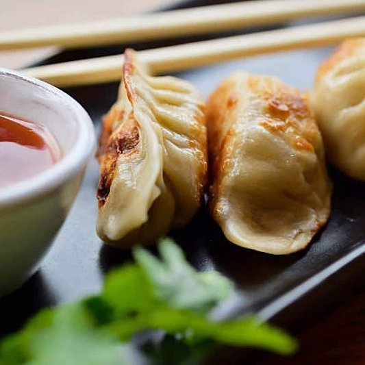 GYOZA DUMPLING COOKING INSTRUCTIONS