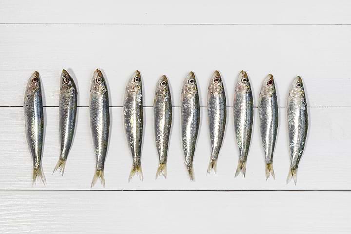 Explore the 3 Best Recipes for Portuguese Sardines