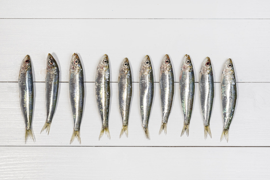Explore the 3 Best Recipes for Portuguese Sardines