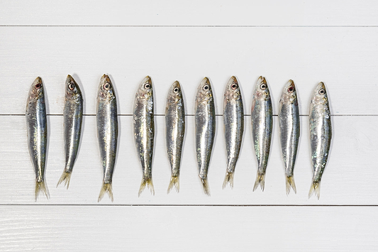 Explore the 3 Best Recipes for Portuguese Sardines