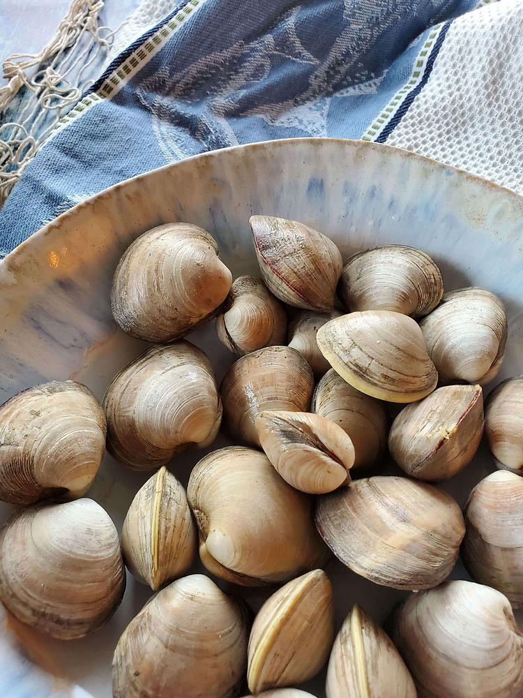 Clams
