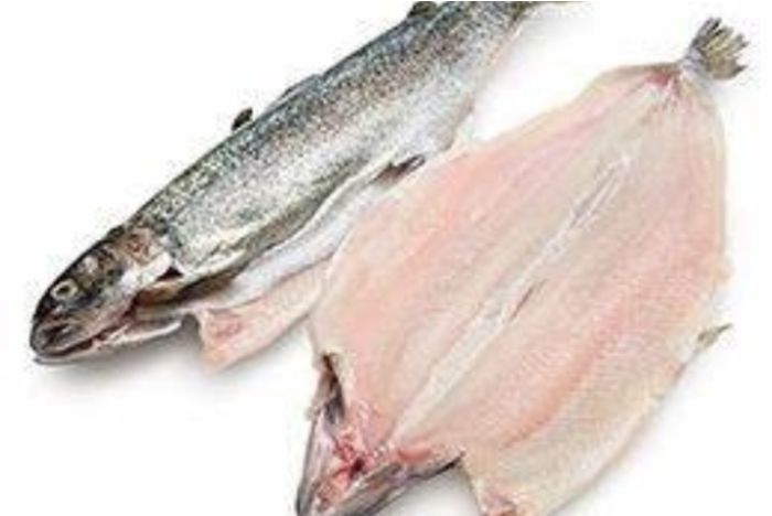 Trout*
