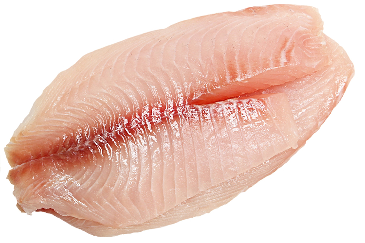 Tilapia*