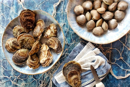 Shell Fish