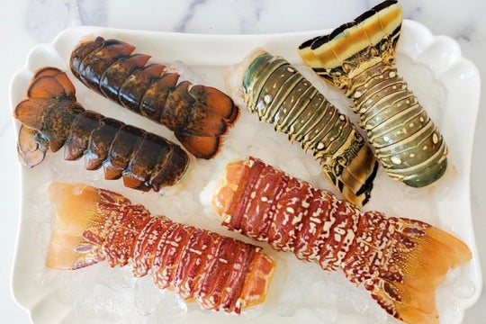 Lobster Tails