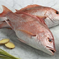 Red Snapper Fish, Whole, Wild, Florida, 2 - 2.75 lb each