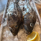 Black Sea Bass - Whole, Wild Caught,  1 1/2-2 lb Ea.