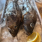 Black Sea Bass - Whole, Wild Caught,  1 1/2-2 lb Ea.
