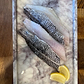 Fresh Black Sea Bass Fillet