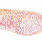 Fresh Red Snapper Fillet