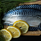 wild caught mackerel