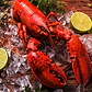 Cooked Maine Lobster (1¼ lb Pre-Cooked) 1 each