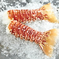 South African Lobster Tails, Large 5-6 oz