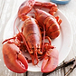 Raw Bar Bundle