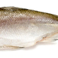 HEALTHY FISH TRIFECTA - MACKEREL - SARDINES -SMELTS