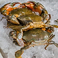 Maryland Soft Shell Crabs, Large, Cleaned, 6 or 12 pcs