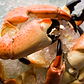 Florida Stone Crab Claws, Medium