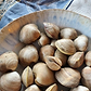 Fresh Littleneck Hard Clams, Chesapeake Bay, Virginia