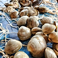 Feast of the Seven Fishes Bundle Box