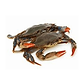 Maryland Soft Shell Crabs, Large, Cleaned, 6 or 12 pcs