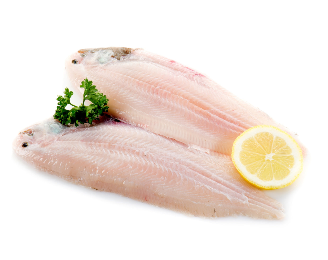 fresh dover sole