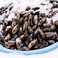 PEI Mussels, 2lb