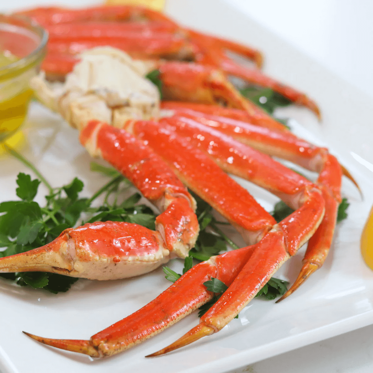 Vermont Christmas Company ロブスターブイ ジグソーパズル 1000ピース