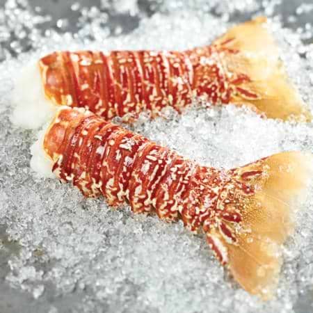 South African Lobster Tails, Large 8-10 oz