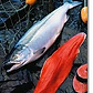 Copper River Fresh,Wild-Sockeye Salmon Fillet