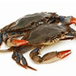 Maryland Soft Shell Crabs, Large, Cleaned, 6 or 12 pcs